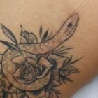 tatuagem de cobra cobre cicatriz 140x140 1