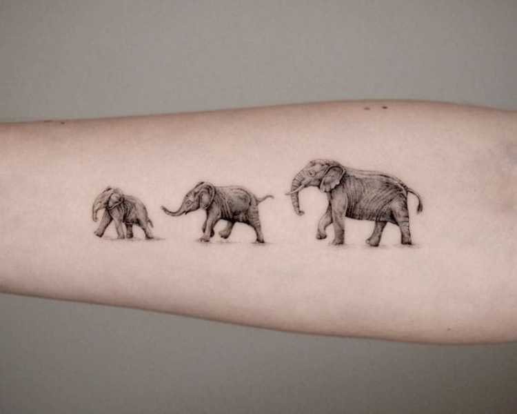 tatuagem-mae-e-filha-elefantes braço com 3 elefantes tatuados