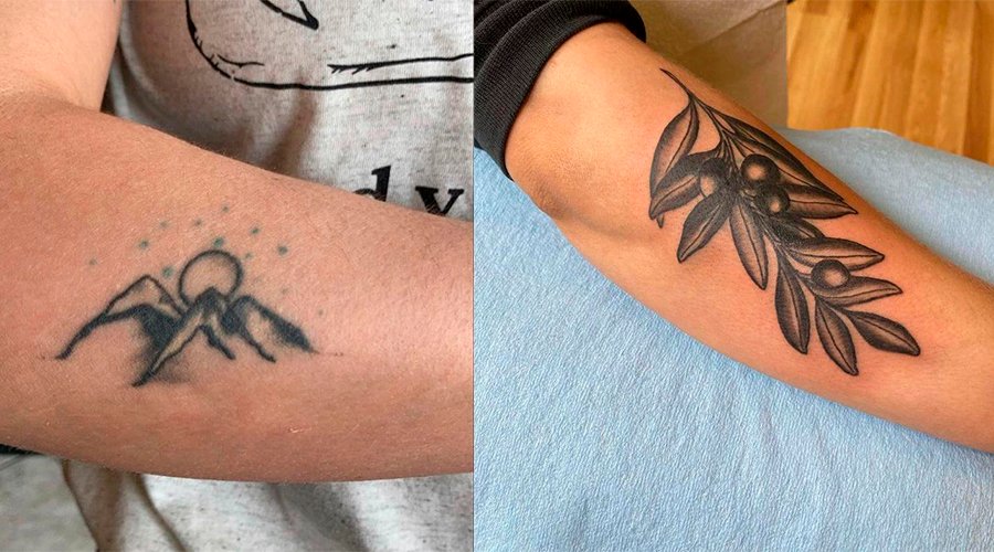 Coverup de tatuagem no braço Tatuagem antiga de um sol saindo atrás de montanhas. A segunda imagem é da cobertura dessa tatuagem: um ramo de folhas e frutos pretos.