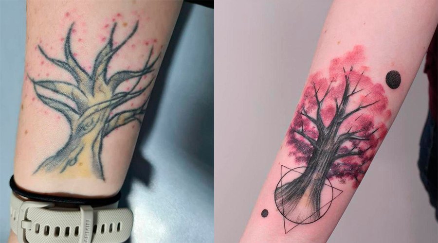 Cobertura de tatuagem no braço Cobertura de uma tatuagem de árvore colorida com outra tatuagem de árvore colorida mais bonita, e rosa.