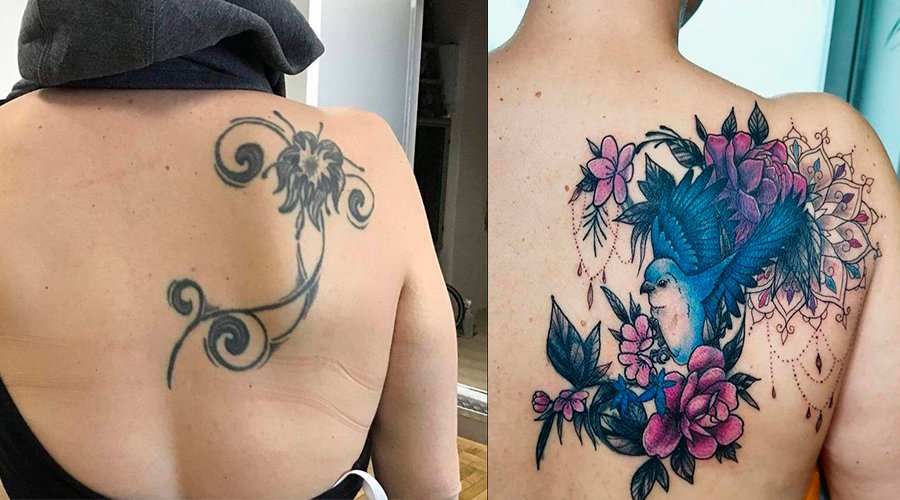 Cobertura de tatuagem nas costas Tatuagem antiga em preto, coberta por uma muito maior, com a imagem de um pássaro azul cercado de flores rosas, nas costas de alguém.