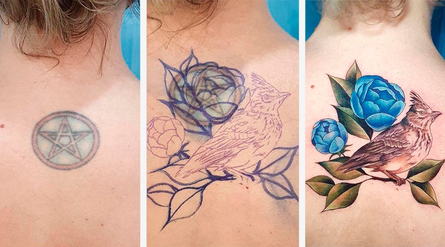 Tatuagem antes e depois: O passo a passo da técnica transformanto estrela com císculo em pássaro com flor azul Três fotos, lado a lado, da nuca da mesma pessoa. A primeira foto mostra uma tatuagem de um pentagrama desbotando. A segunda mostra o esboço do desenho do artista cobrindo a tatuagem anterior. A terceira mostra a tatuagem nova pronta: a imagem de um pássaro pousado em um galho com flores azuis.