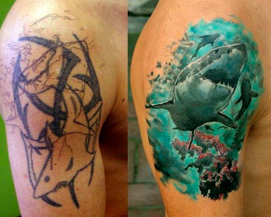 Cobertura de tatuagem grande no braço Tatuagem de um tubarão colorido cobre outra de um tubarão feita em preto.